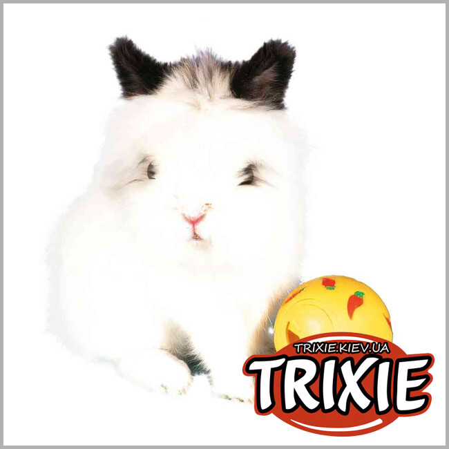 ТРИКСИ Украина - Мяч для лакомства TRIXIE
