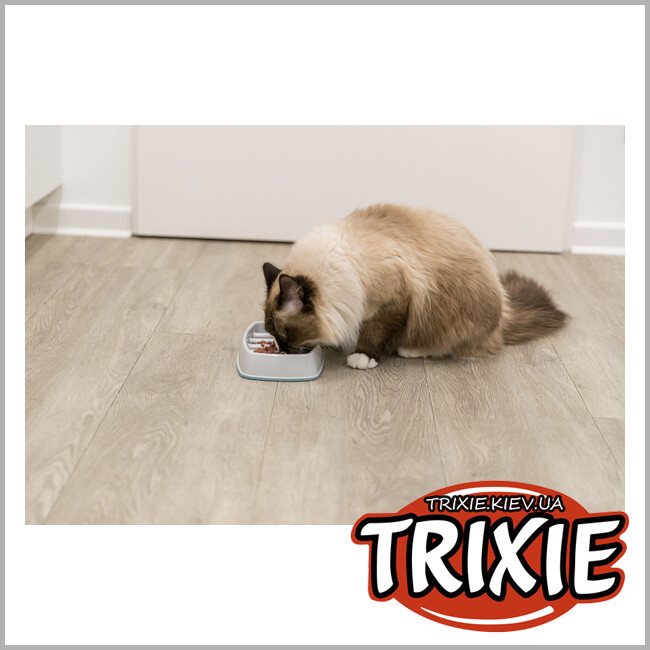 ТРИКСИ Украина - Миска для кошки TRIXIE - Paris (Размер: 0.25л/17см)