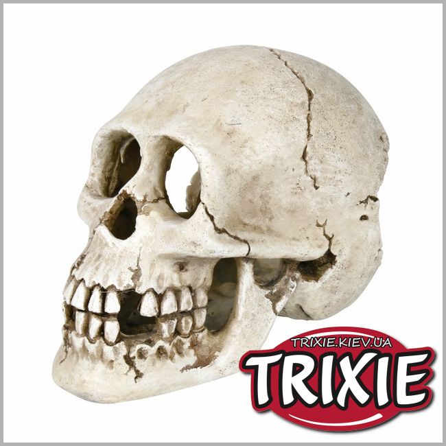 ТРИКСИ Украина - Грот для рыбок TRIXIE - Череп, 15 см