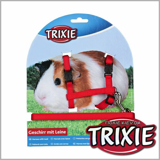 ТРИКСИ Украина - Шлейка с поводком для морских свинок TRIXIE (21-35 см/10 мм)