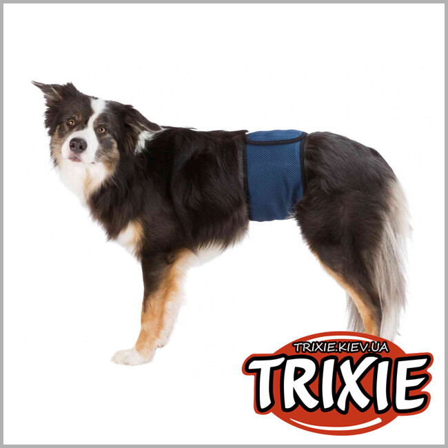 ТРИКСИ Украина - Гигиенический пояс для кобелей TRIXIE 23661 (+3шт прокладки S 29–37см)