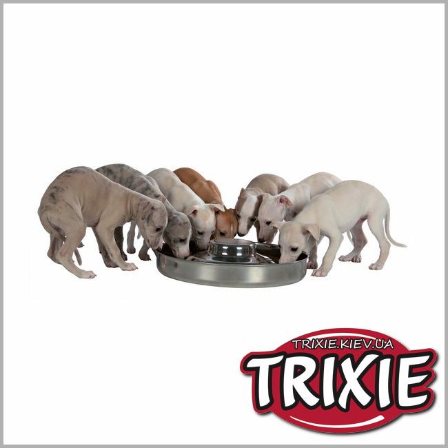 ТРИКСИ Украина - Для щенков Нержавеющая миска Trixie Junior Puppy Bowl (4L / 38см)