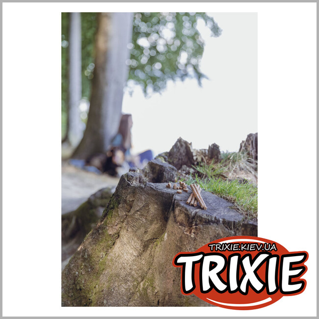ТРИКСИ Украина - Лакомство для собак с пищевой аллергией Trixie 31660 Insect Hearts 80г