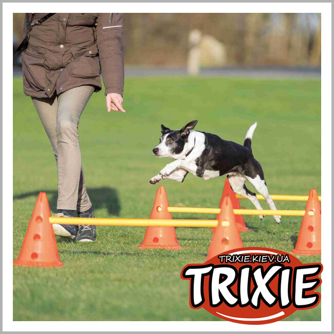 ТРИКСИ Украина - Набор препятствий Dog Activity-TRIXIE (пластик, 23 × 30см/78см, оранж/жёлтый)