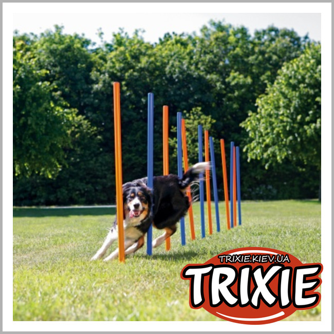 ТРИКСИ Украина - Тренировочные палки для собак TRIXIE - Слалом (3 × 115 см)