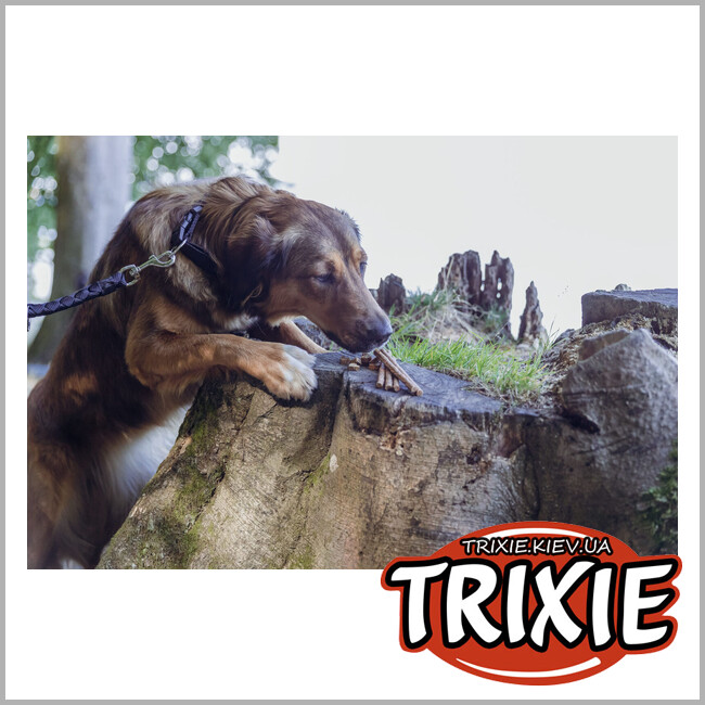 ТРИКСИ Украина - Лакомство для собак с пищевой аллергией Trixie 31660 Insect Hearts 80г