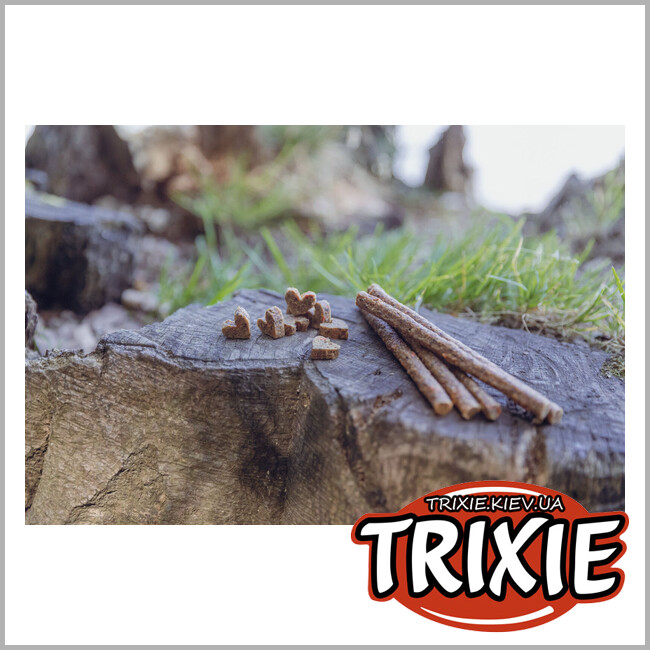 ТРИКСИ Украина - Лакомство для собак с пищевой аллергией Trixie 31660 Insect Hearts 80г