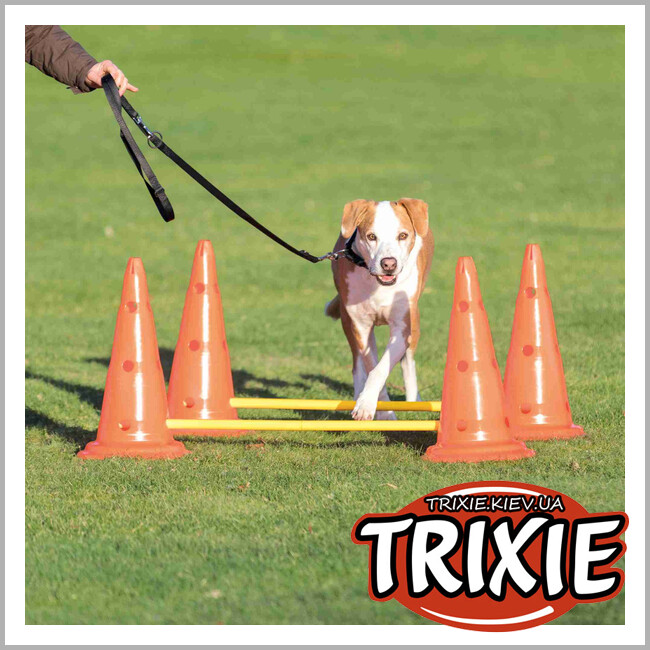 ТРИКСИ Украина - Набор препятствий Dog Activity -TRIXIE 32092 (пластик, 30 × 50см/100см, оранж/жёлтый)