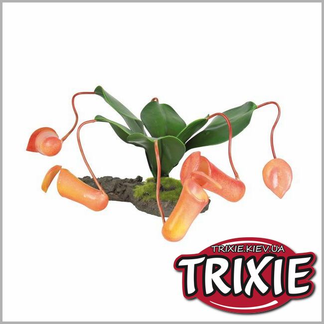 ТРИКСИ Украина - Растение-хищник для рептилий TRIXIE - для террариума