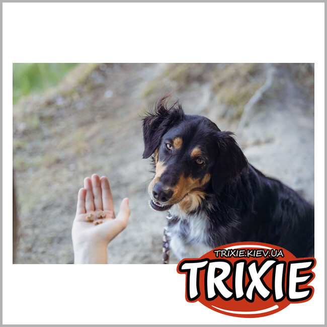 ТРИКСИ Украина - Лакомство для собак с пищевой аллергией Trixie 31660 Insect Hearts 80г