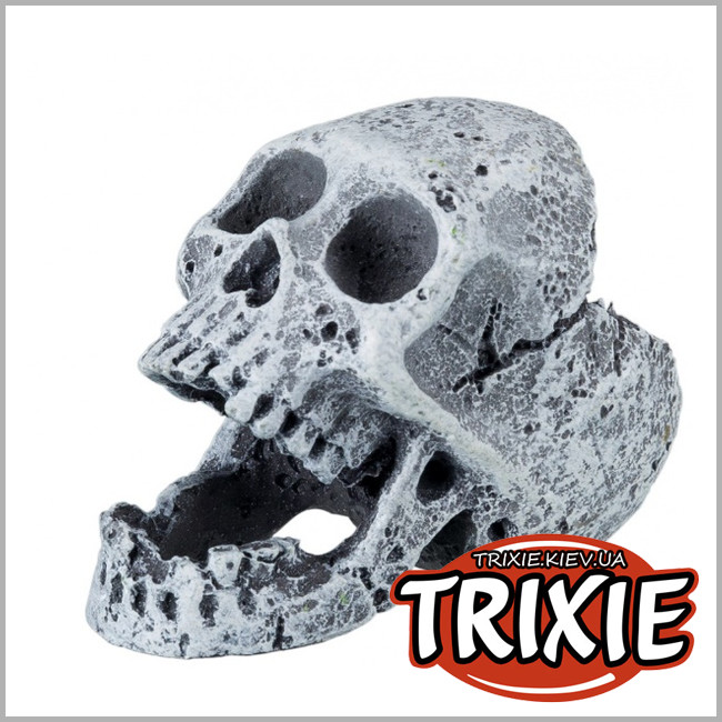 ТРИКСИ Украина - Набор черепов для рыб TRIXIE
