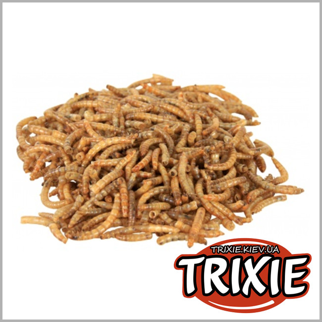 ТРИКСИ Украина - Черви сушеные для рептилий TRIXIE