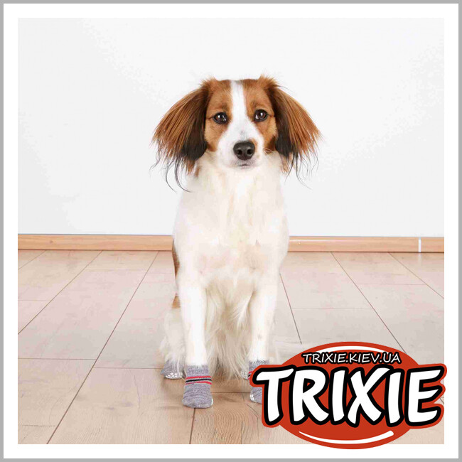 ТРИКСИ Украина - Защитные носки противоскользящие Trixie Dog Socks (L–XL /// 2шт)