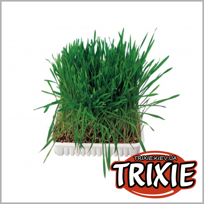 ТРИКСИ Украина - Трава для грызунов TRIXIE (поддон 100гр)