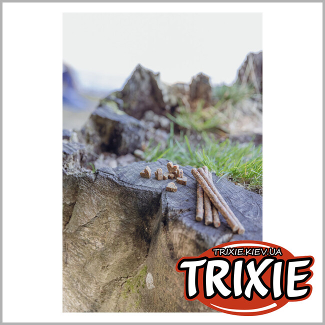 ТРИКСИ Украина - Лакомство для собак с пищевой аллергией Trixie 31660 Insect Hearts 80г