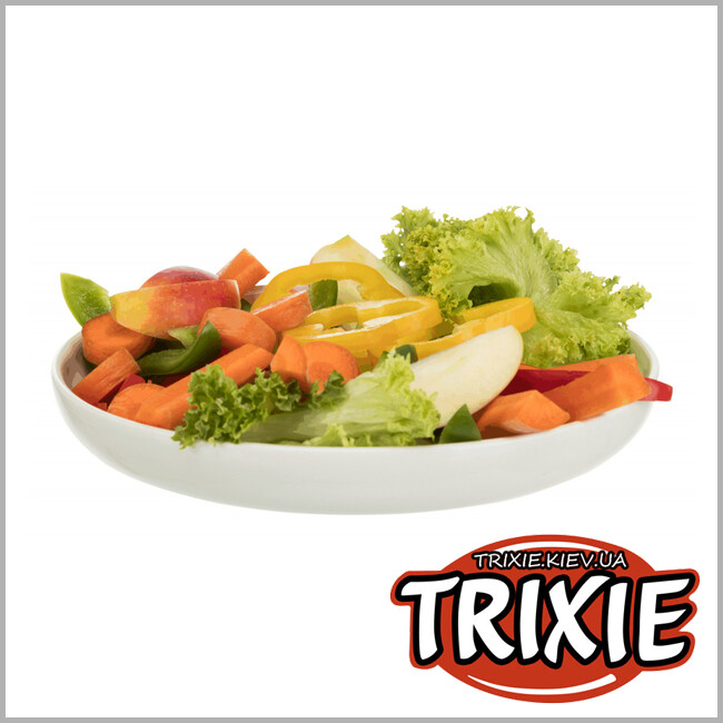 ТРИКСИ Украина - Миска для овощей TRIXIE (керамика, 600мл/23см, крем)