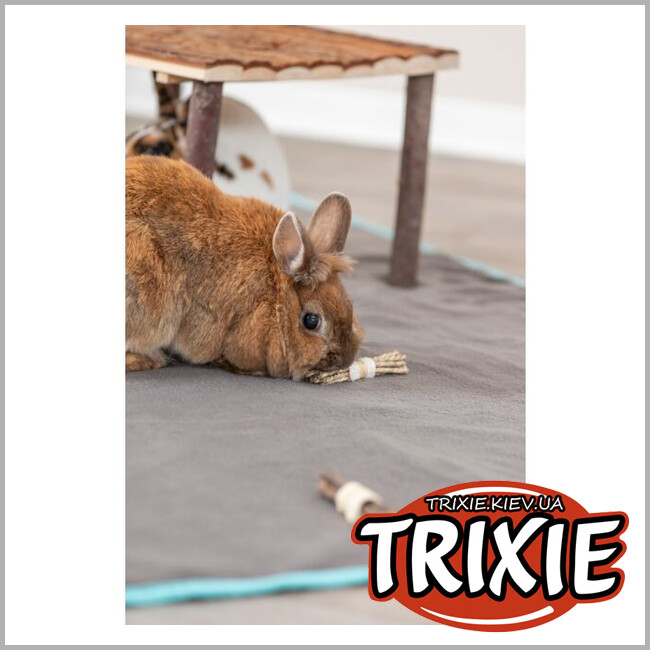 ТРИКСИ Украина - Набор игрушечных палочек из люфи для грызунов TRIXIE (дерево/водоросли, 10х3см, 2шт/уп)