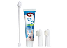 Зубная паста +3 щетки Trixie Dental Hygiene Set (ароматом мяты 100g) - Trixie