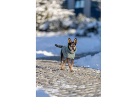 CityStyle пуловер Trixie 680183 