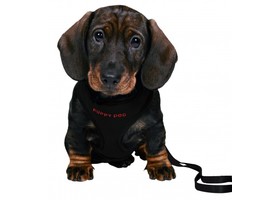 Поводок + шлея+ желетка для собак TRIXIE (Размер:26х34см/10мм/2.00м, Цвет: черный) - Trixie