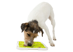 Тарелка для облизывания  Trixie Lick & Snack Licking Plate ( TRP 20*20 см) - Trixie