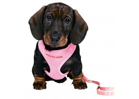 Поводок + шлея+ желетка для собак TRIXIE (Размер:23-34cм/2м/10мм, Цвет: розовый) - Trixie