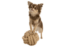 BE NORDIC мяч веревочный  Trixie Rope Ball for Dogs (хлопок 13 см) - Trixie