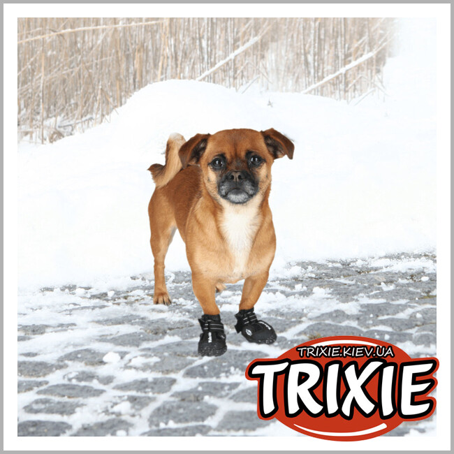 ТРИКСИ Украина - Защитные сапоги для собак Trixie 19464 "Walker Active", M-L, черный (2шт/уп)