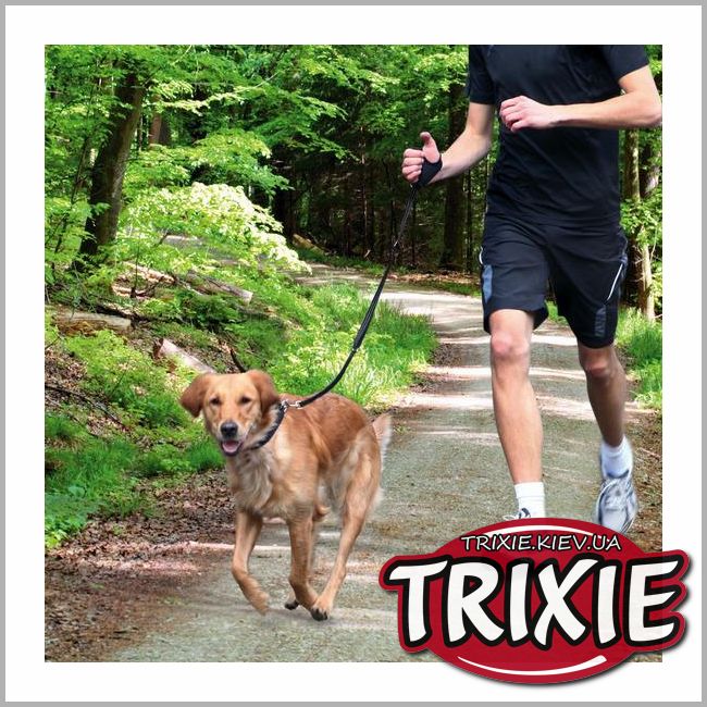ТРИКСИ Украина - Поводок для пробежек для собак TRIXIE (Размеры: 0.90-1.30 м/20 мм, чёрный, нейлон)