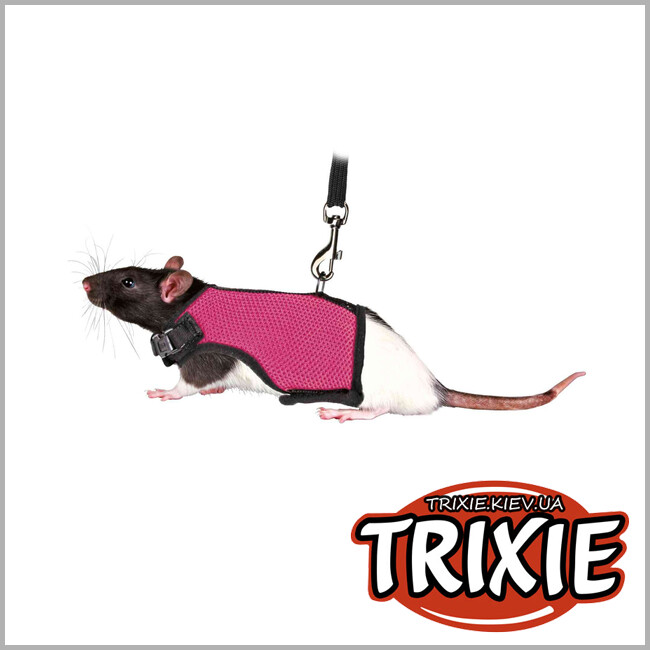 ТРІКСІ Україна - Шлейка-жилетка для гризунів TRIXIE (Для морської свинки/щура)