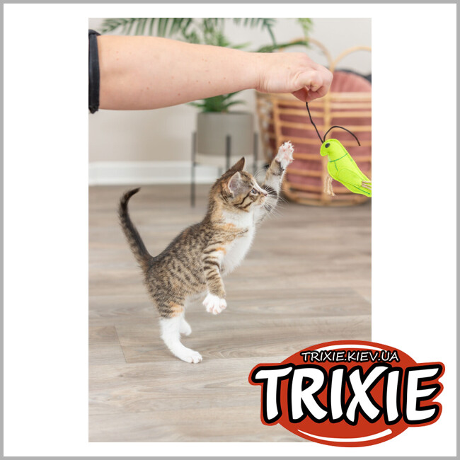ТРІКСІ Україна - Іграшки комахи Trixie 41119 (фетр), 11см (3шт/уп)