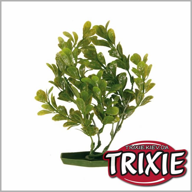ТРІКСІ Україна - Рослина для акваріума TRIXIE - Набір, пластикова основа (Розмір: 17см)