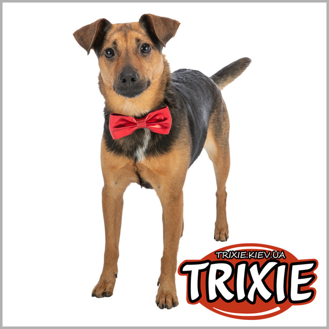 ТРИКСИ Украина - Рождественский галстук-бабочка для животных Trixie 92524 , 10см