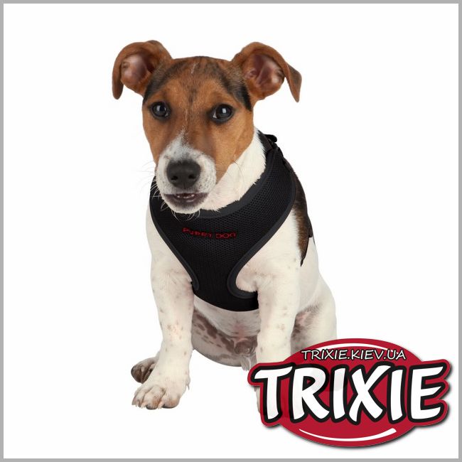 ТРІКСІ Україна - Шлейка для собак TRIXIE - для цуценят з повідцем (Розмір: 33-47 см/10 мм, 2 м, чорний)
