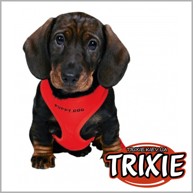 ТРИКСИ Украина - Поводок + шлея+ желетка для собак TRIXIE (Размер:23-34cм/2м/10мм, Цвет: красный)