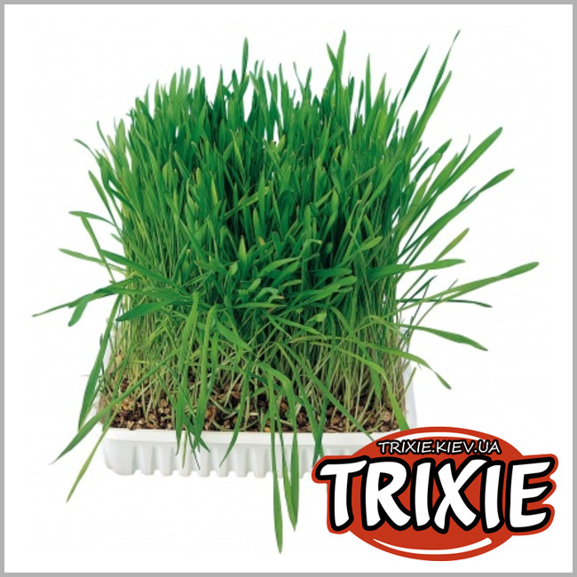 ТРІКСІ Україна - Трава для кота з піддоном TRIXIE