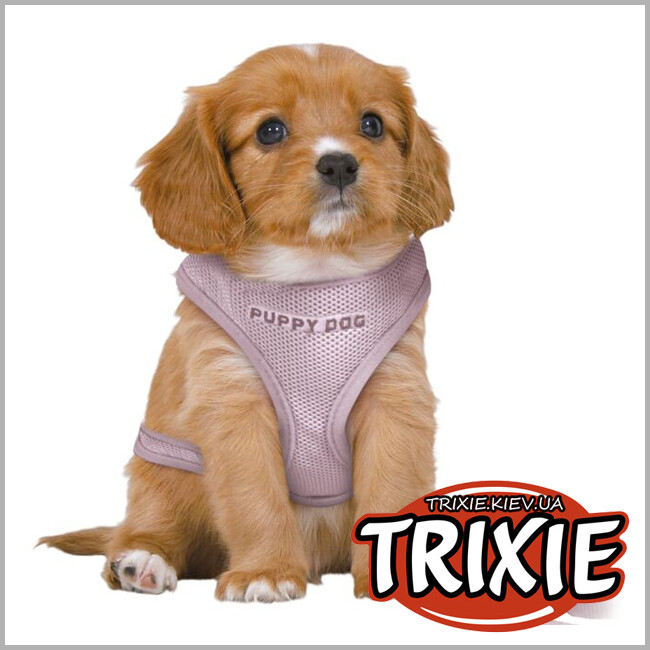 ТРИКСИ Украина - Мягкая шлейка Junior Puppy с поводком Trixie Junior Puppy Soft Harness with Lead (36-50cm*10mm, светло-сереневый)