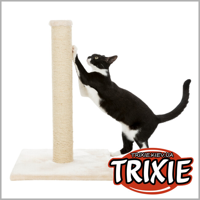 ТРІКСІ Україна - Кігтеточка дряпка на підставціTrixie Parla Scratching Post (бежева 62cm)