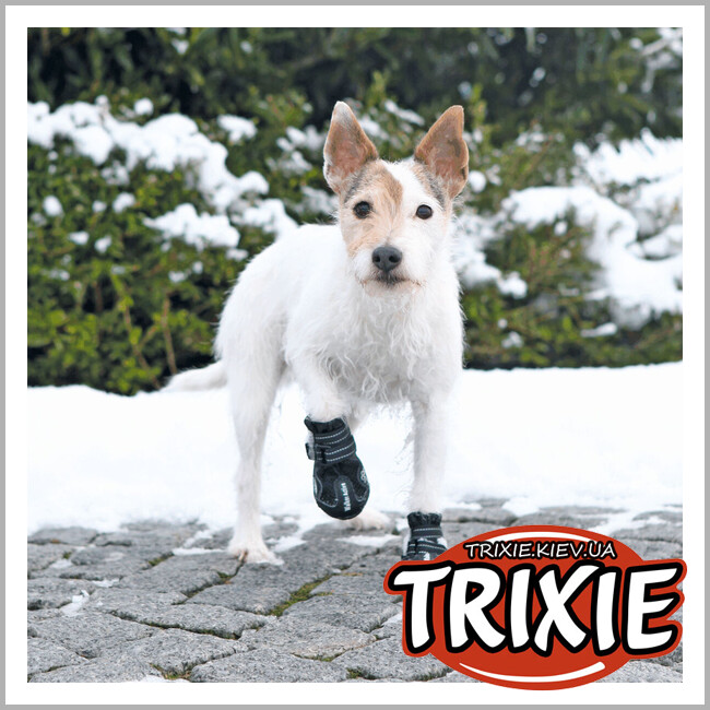 ТРИКСИ Украина - Защитные сапоги для собак Trixie 19465 "Walker Active" L, черный (2шт/уп)