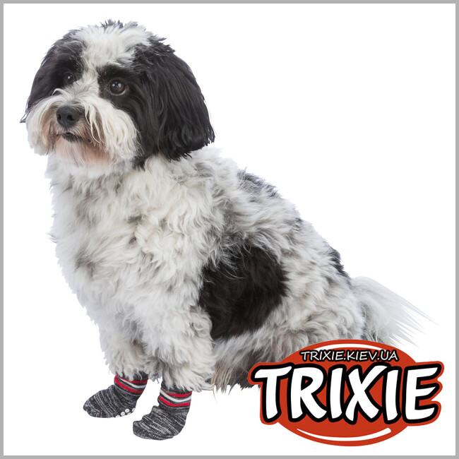 ТРИКСИ Украина - Носки  для собак Trixie 19503, антиковзания, M-L, серый (2шт/уп)