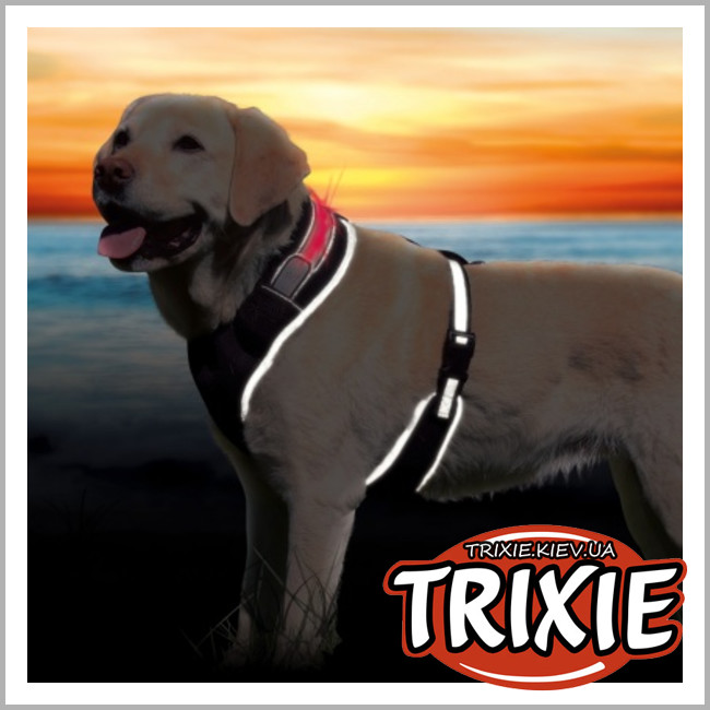 ТРІКСІ Україна - Світловідбивна USB шлейка для собак TRIXIE (Розмір: 45-60см, чорний, нейлон)