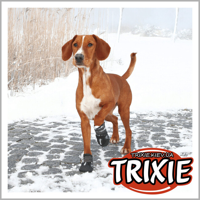 ТРИКСИ Украина - Защитные сапоги для собак Trixie 19466 "Walker Active" L-XL, черный (2шт/уп)