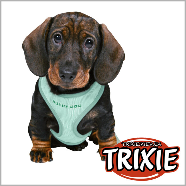 ТРІКСІ Україна - Шлея з повідцем Trixie 15565 для цуценят S–M 26–34 см х 10 мм 2,00 м м'ятний