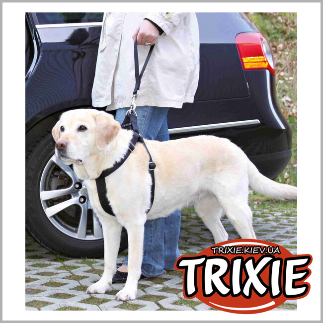 ТРИКСИ Украина - Универсальный а/м ремень безопасности TRIXIE (33см/30мм, чёрный)