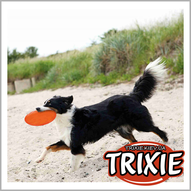 ТРИКСИ Украина -  TPR диск для собак TRIXIE (Размер: 22см)