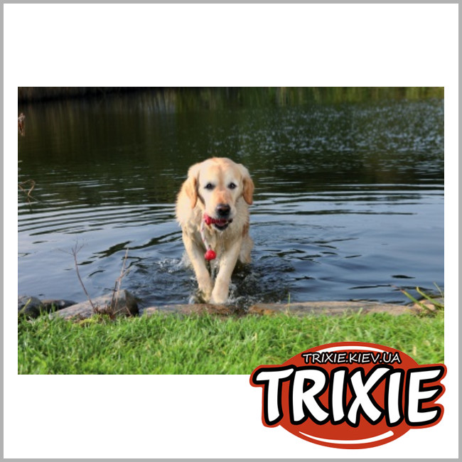 ТРИКСИ Украина - Игрушка для собак TRIXIE - Fun-Mot водная