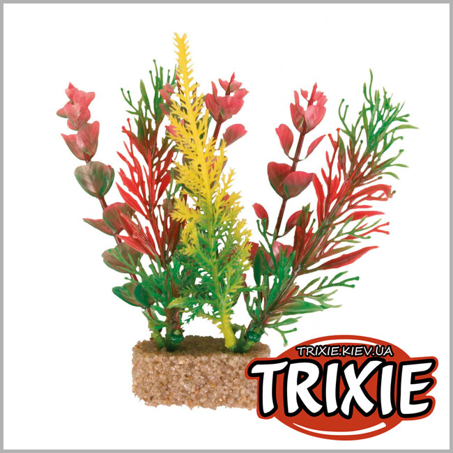 ТРІКСІ Україна - Рослина для акваріума TRIXIE - Набір, основа з піску (Розмір: 12см)