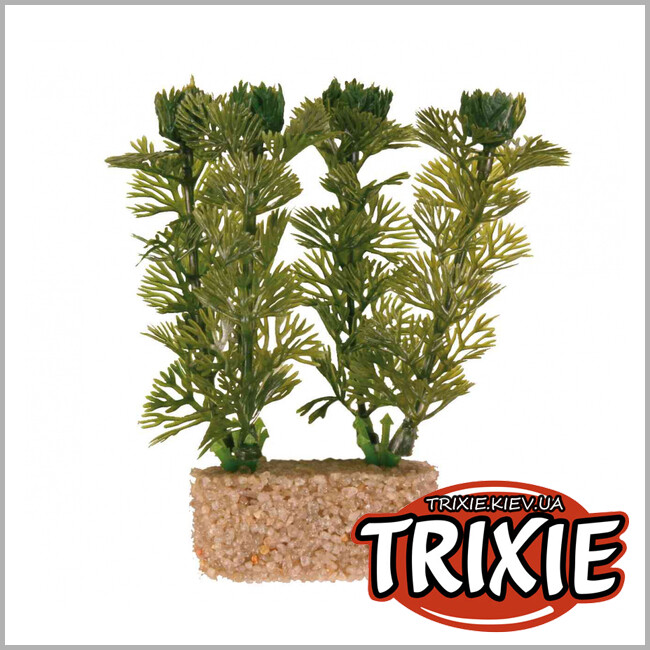 ТРІКСІ Україна - Рослина для акваріума TRIXIE - Набір, основа з піску (Розмір: 12см)