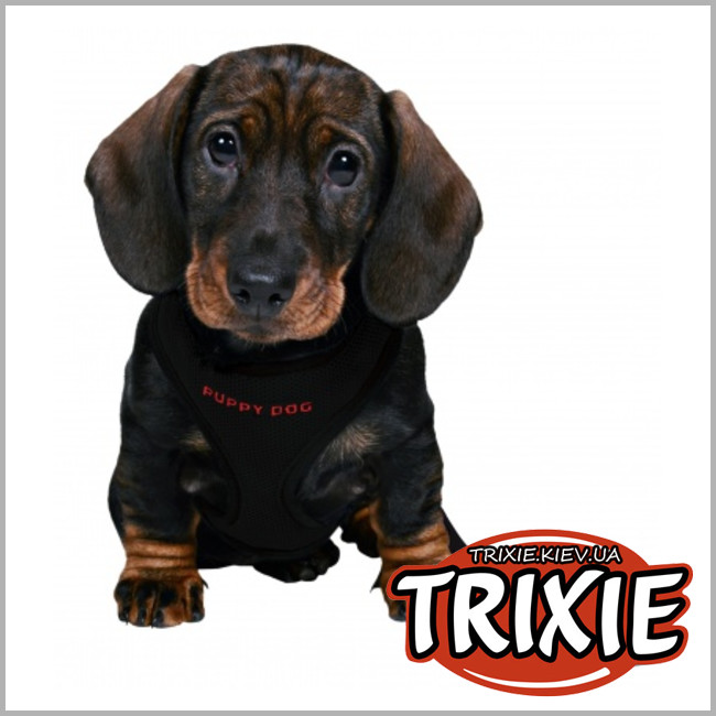 ТРІКСІ Україна - Повідець + шлейка+ жолетка для собак TRIXIE (Розмір:26х34см/10мм/2.00м, Колір: чорний)