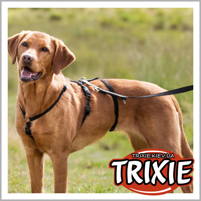 ТРИКСИ Украина - Шлей Trixie 13092 для собак S-M 40-65 см х 15 мм  черный